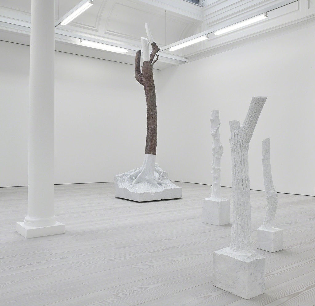 Giuseppe Penone
Fui, Sarò, Non Sono (I was, I will be, I am not)
Installation View
Marian Goodman Gallery, London
September 8 – October 22, 2016
Giuseppe Penone
Fui, Sarò, Non Sono (I was, I will be, I am not)
Installation View
Marian Goodman Gallery, London
September 8 – October 22, 2016