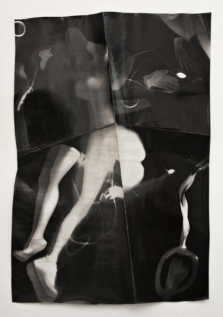 Tatiana Kronberg, ‘Untitled #1’, 2015, Essex Flowers