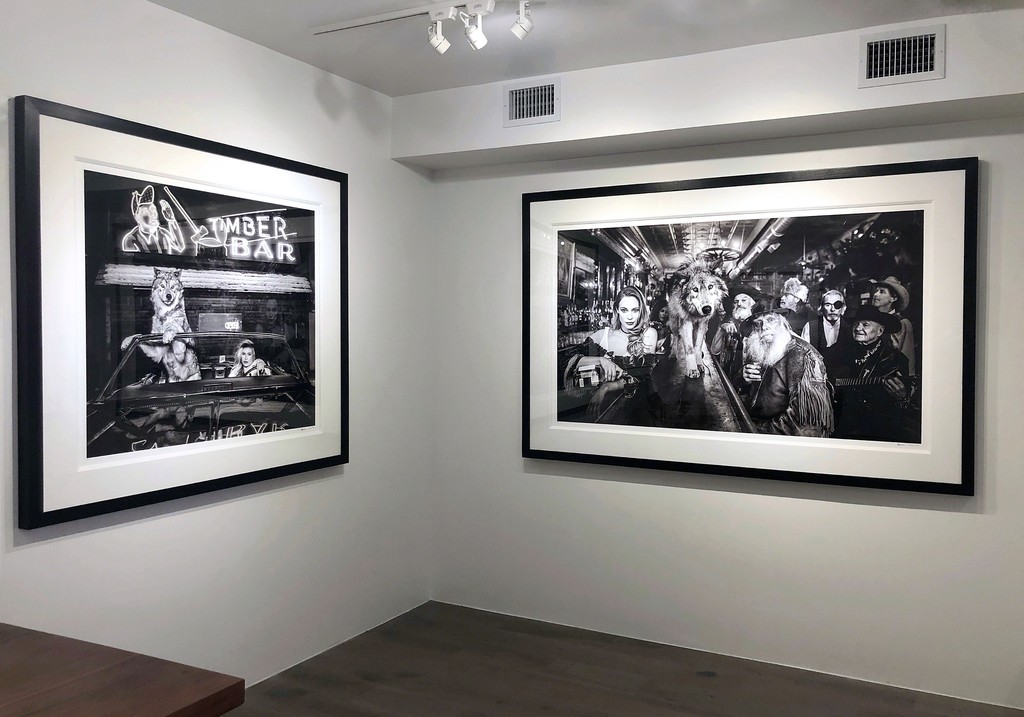 David Yarrow: Off Road & After Hours: Coyote Ugly, 2019; The Usual Suspects II, 2018 David Yarrow: Off Road & After Hours: Coyote Ugly, 2019; The Usual Suspects II, 2018