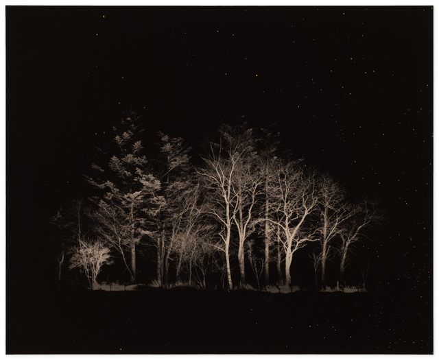 Masao Yamamoto, ‘Kawa=Flow #1632’, 2015, Robert Koch Gallery