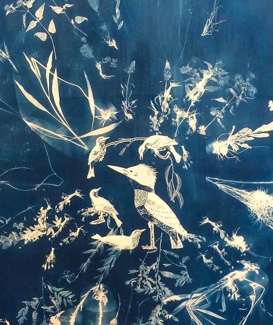 Peggy Cyphers, ‘Kingfisher’, 2015, Cross Contemporary Partners