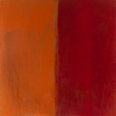 Pat Steir