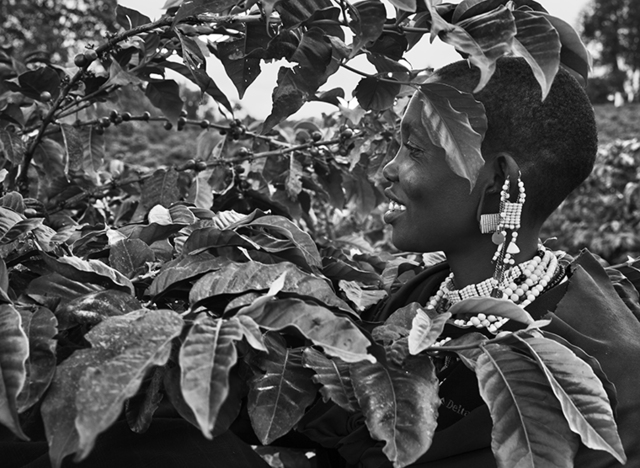 Sebastião Salgado, ‘Un raccoglitore di caffè nella piantagione di Shangri La. Rift Valley, pendici del cratere Ngorongoro, Tanzania’, 2014, Fondazione Bevilacqua la Masa