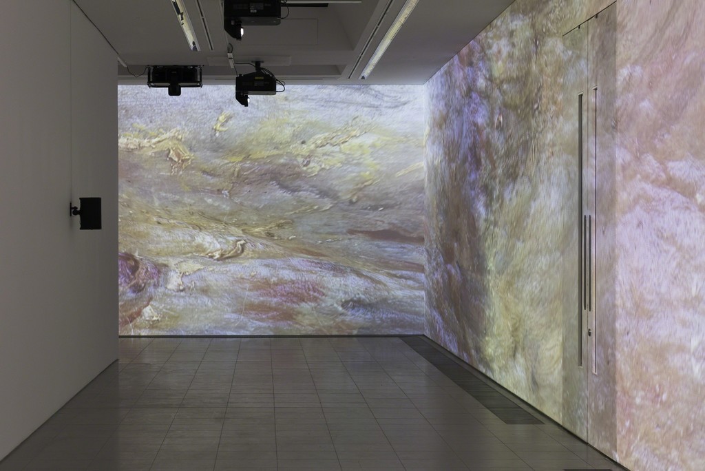 Sondra Perry, Installation view, Typhoon coming on, Serpentine Sackler Gallery, London (6 March – 20 May 2018) © 2018 Mike Din Sondra Perry, Installation view, Typhoon coming on, Serpentine Sackler Gallery, London (6 March – 20 May 2018) © 2018 Mike Din