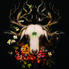Martin Wittfooth