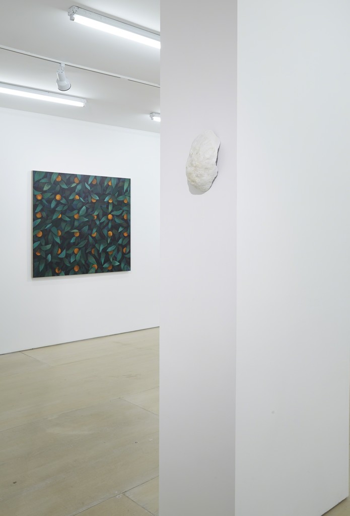 Installation view: Ordering Nature
New York, BOESKY EAST, June 12 – July 31, 2015
Photo credit: Jason Wyche Installation view: Ordering Nature
New York, BOESKY EAST, June 12 – July 31, 2015
Photo credit: Jason Wyche