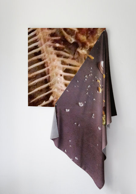 Anna-Sophie Berger, ‘proposal for carp’, 2015, JTT Gallery
