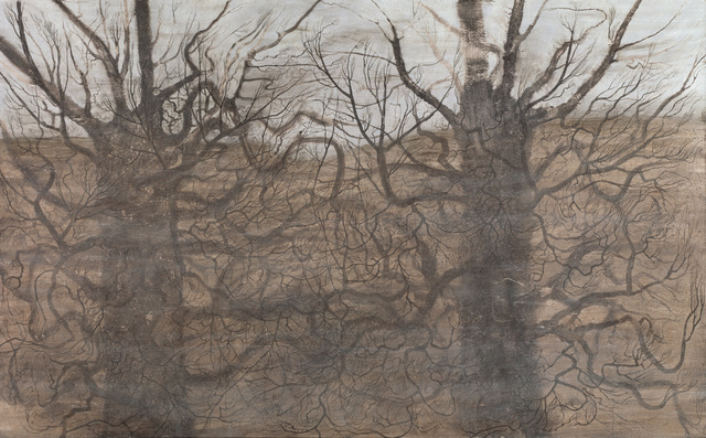 Elina Merenmies, ‘Language of Trees’, 2008, Kiasma Museum of Contemporary Art