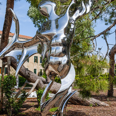 Masoud Akhavanjam in the context of the 58th Venice Biennale 2019