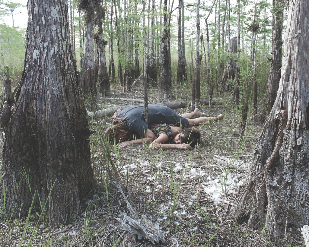 Dying Dipor-Bill Reserve Dying Dipor-Bill Reserve
