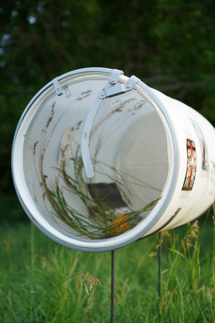 , 'Bareel Study 3 (Holdings),' 2020, Madragoa