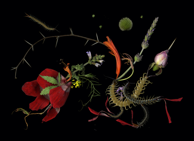 Eliezer Sonnenschein, ‘No man land’, 2008, Blanca Soto Arte