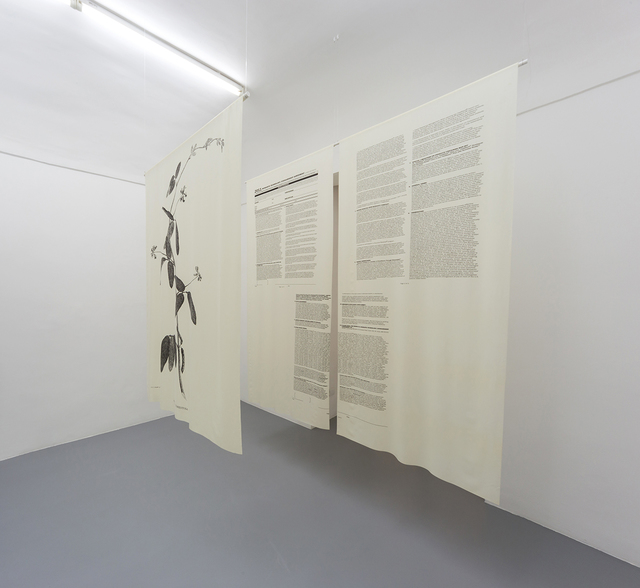 Pedro Neves Marques, ‘GMO are a Direct Evolution of Botanical Expeditions to the Colonies Throughout Modern Times’, 2017, Umberto Di Marino