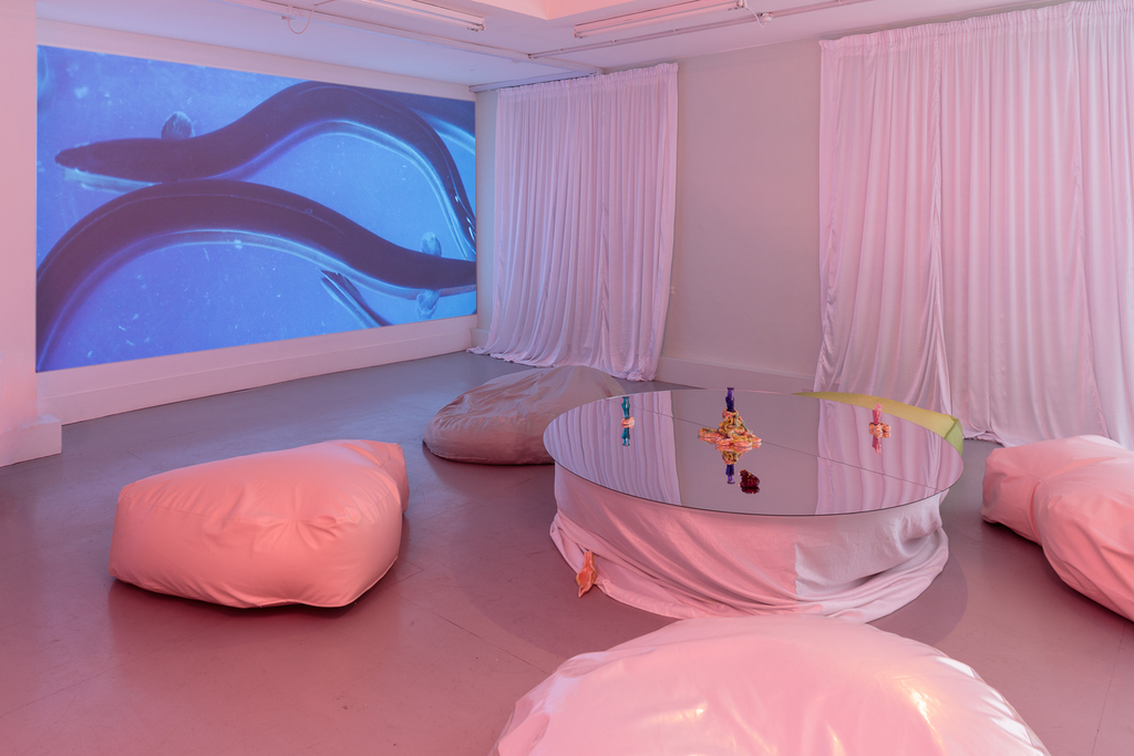 Zoe Williams, Sunday Fantasy, 2019, installation view. Photo: Tim Bowditch Zoe Williams, Sunday Fantasy, 2019, installation view. Photo: Tim Bowditch