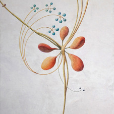 David Thorpe