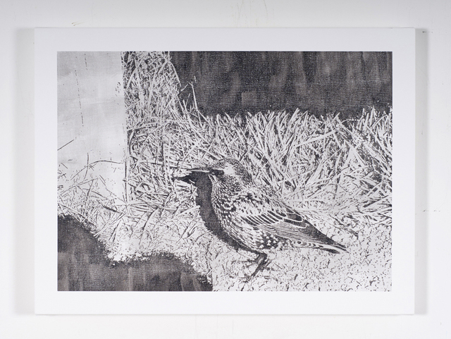 Martin Bennett, ‘Static Image Painting/Grey/Starling/Away From The Murmuration/The Stonehenge Parking Lot/Britain’, 2015, Birch Contemporary