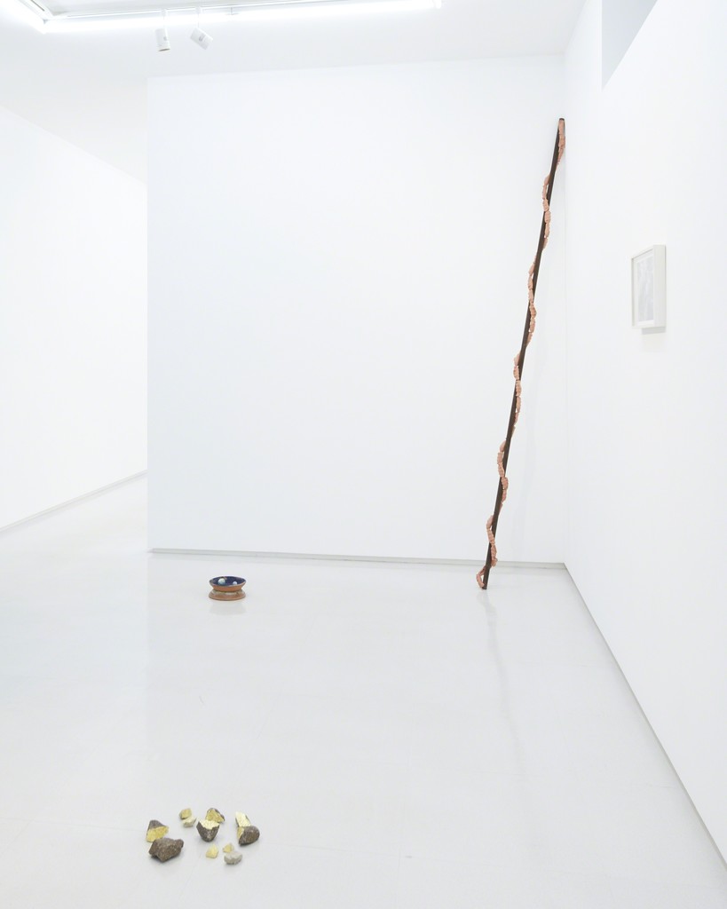 Installation view from “A Cosmology from Forest” 8/ ART GALLERY/ Tomio Koyama Gallery, 2017 ©Satoshi Hirose, photo by Kenji Takahashi Installation view from “A Cosmology from Forest” 8/ ART GALLERY/ Tomio Koyama Gallery, 2017 ©Satoshi Hirose, photo by Kenji Takahashi