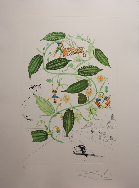 Salvador Dalí, ‘Flora Dalinae Passionflower’, 1968, Fine Art Acquisitions