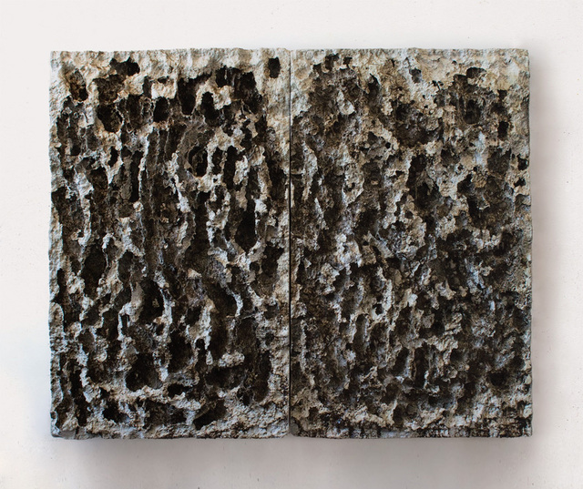 Richard Nott, ‘Histolysis 1 ’, Anima Mundi