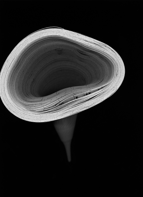 Susana Reisman, ‘Measuring Tape 10’, 2005, Photography, Archival Pigment Print, Circuit Gallery