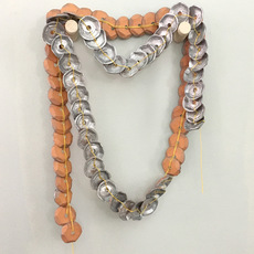Caroline Hayes Charuk