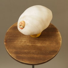 Kunihiko Nohara 野原邦彦
