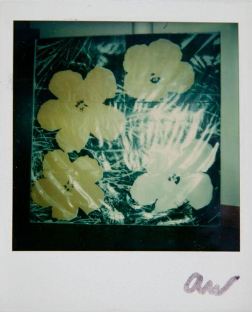 Andy Warhol, ‘Andy Warhol, Flowers Silk Screen Print, Polaroid Photograph, 1976’, 1976, Hedges Projects