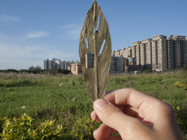 Yahui Wang, ‘Leaf holes no.5’, 2011, TKG+