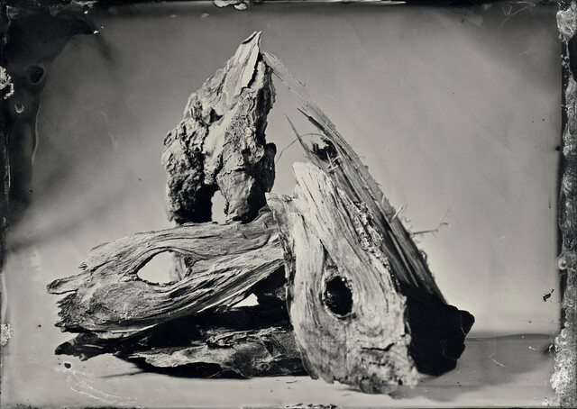 Wet City Series No:100, Northern Forests No:26