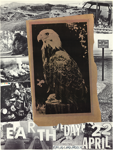 Robert Rauschenberg, ‘Earth Day’, 1970, ArtWise
