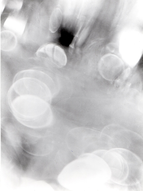 Pasquale de Antonis, ‘Abstract photography’, 1951, Photography, Gelatin silver bromide (da negativo), Bertolami Fine Arts