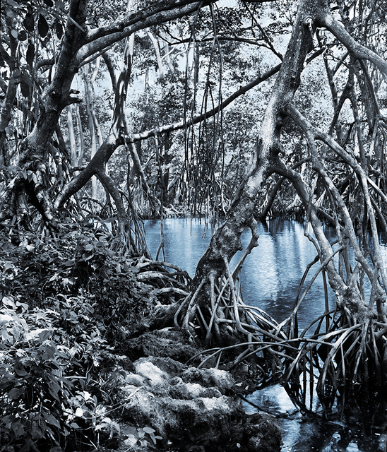Holly King, ‘Vaulted Paradise’, 2009, Art Mûr