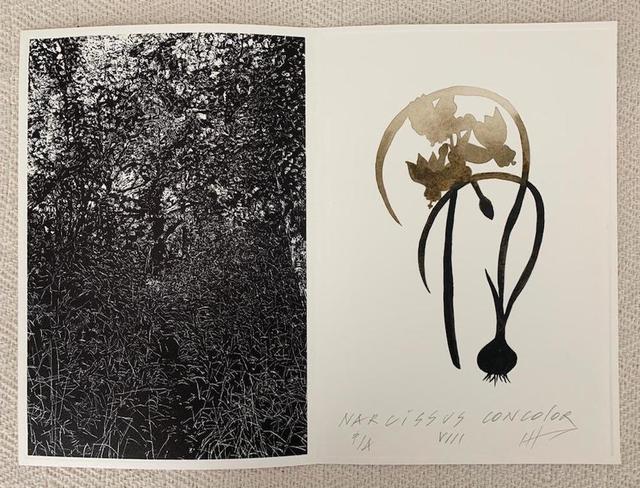 Jan Hendrix, ‘Drawing the Distance’, 2018, Drawing, Collage or other Work on Paper, Aquatint and Watercolor, Proyecto Gráfika 21
