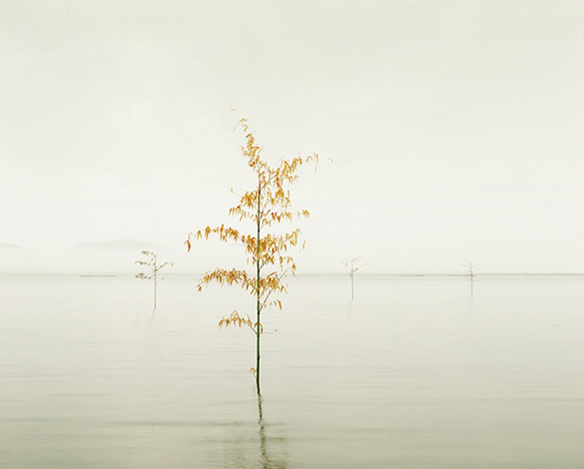 David Burdeny, ‘Orange Leaves, Ariake Sea, Kyushu, Japan’, 2010, Photography, Photography, CYNTHIA-REEVES