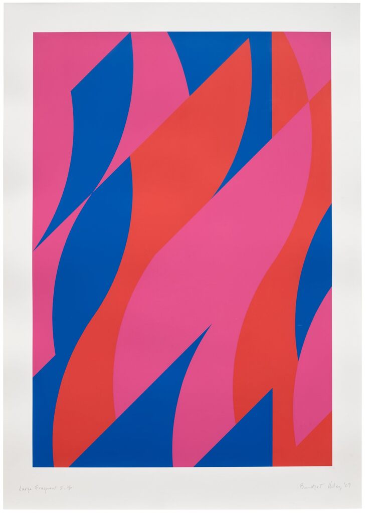 Bridget Riley - Large Fragment 2