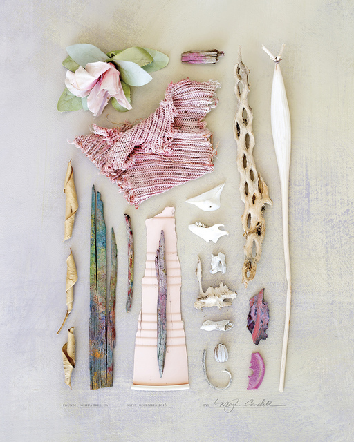Meghan Crandall, ‘Pink’, 2016, Print, Archival Inkjet print, Asher Grey Gallery