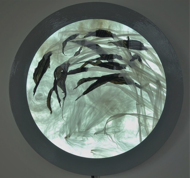 Mario Pasqualotto, ‘Asian dream’, 2006, PontArte