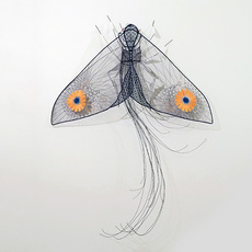 Johanne Allard
