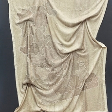 Revati Singh