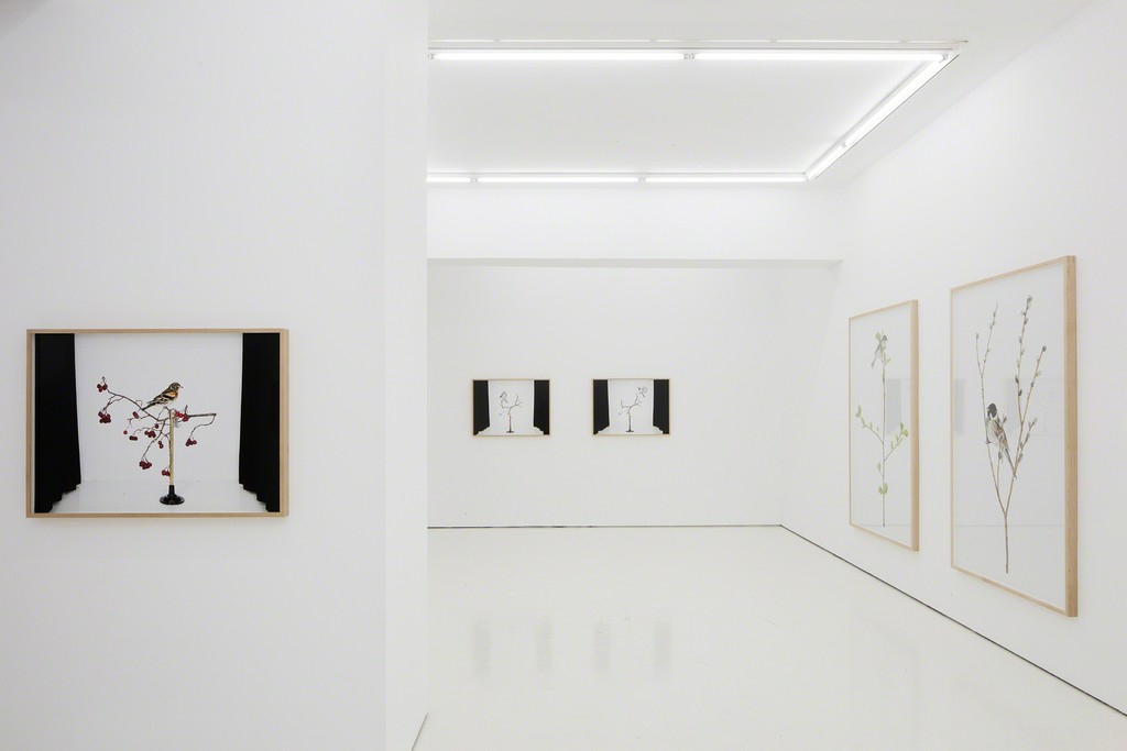 Photo credit: Jussi Tiainen / Courtesy of Helsinki Contemporary. Photo credit: Jussi Tiainen / Courtesy of Helsinki Contemporary.