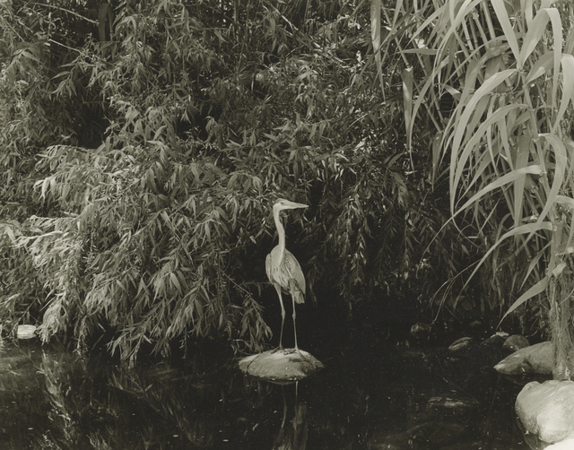 Mark Ruwedel, ‘LA River/Glendale Narrows #39’, 2016, Photography, Gelatin silver print dry-mounted to archival board, Gallery Luisotti
