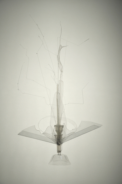 Laurent Lamarche, ‘Translucida Organidée (échantillons 4)’, 2009, Art Mûr