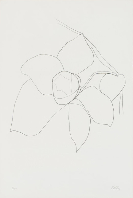 Ellsworth Kelly, ‘Camellia II (Axsom 42)’, 1964-1965, Print, Lithograph on Rives BFK paper, Larsen Gallery