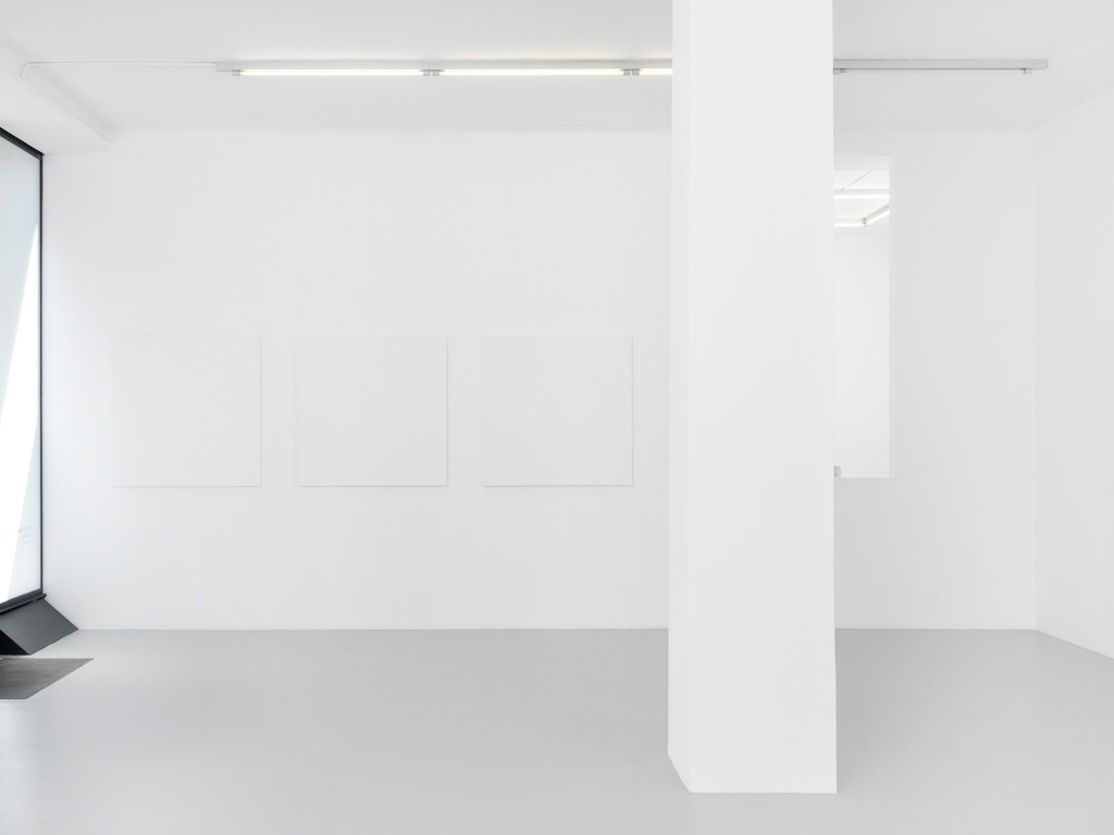Exhibition view, Céleste Boursier-Mougenot, "Solidvideo", Galerie Xippas, Geneva, Switzerland, 2017. ©Annik Wetter Exhibition view, Céleste Boursier-Mougenot, "Solidvideo", Galerie Xippas, Geneva, Switzerland, 2017. ©Annik Wetter