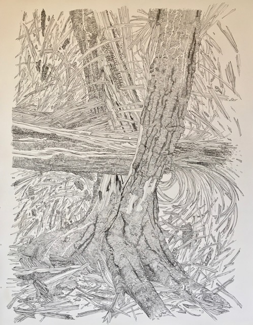 Ray Cicin, ‘Fulminato’, 2019, Drawing, Collage or other Work on Paper, Black ink on archival paper, Maison Depoivre