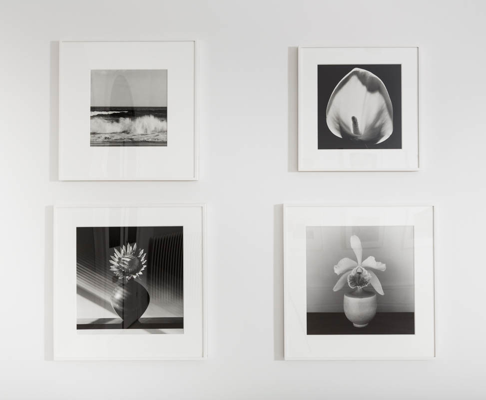 Robert Mapplethorpe Icon Robert Mapplethorpe Icon