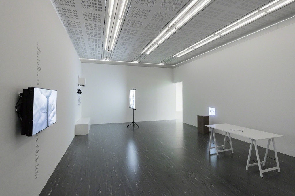 Exhibition View The Grasping, 21er Raum, Photo: © Belvedere, Vienna Exhibition View The Grasping, 21er Raum, Photo: © Belvedere, Vienna