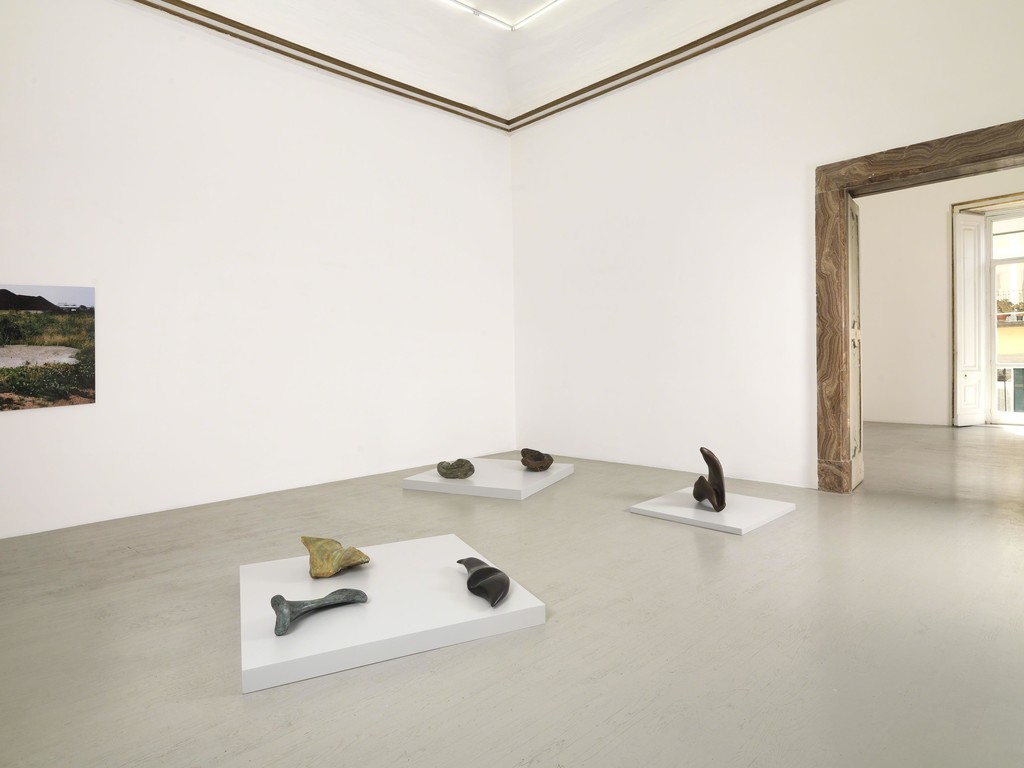Maria Thereza Aves - Time, Trade and Surplus Value - Partial view of the exhibition - July 2018 Maria Thereza Aves - Time, Trade and Surplus Value - Partial view of the exhibition - July 2018