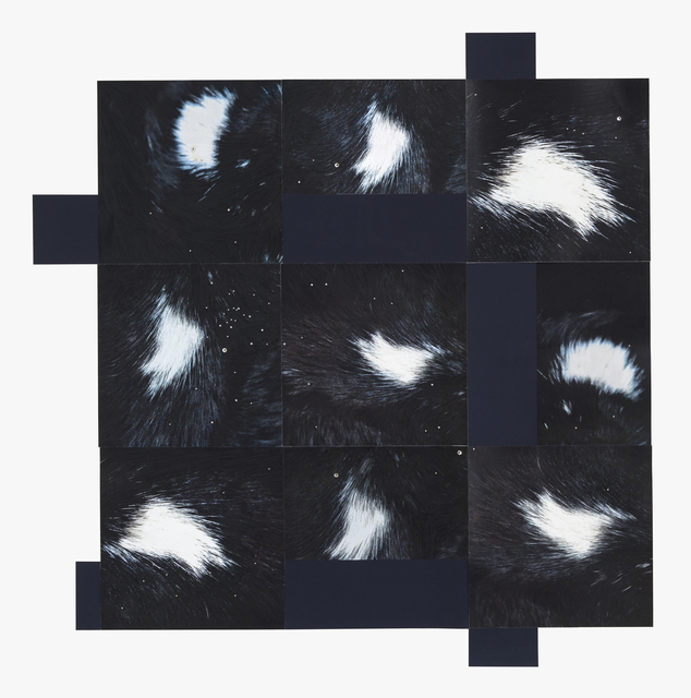 Laura Miranda, ‘SÉRIE ESTRELA CANINA – ECA06’, 2016, Dan Galeria