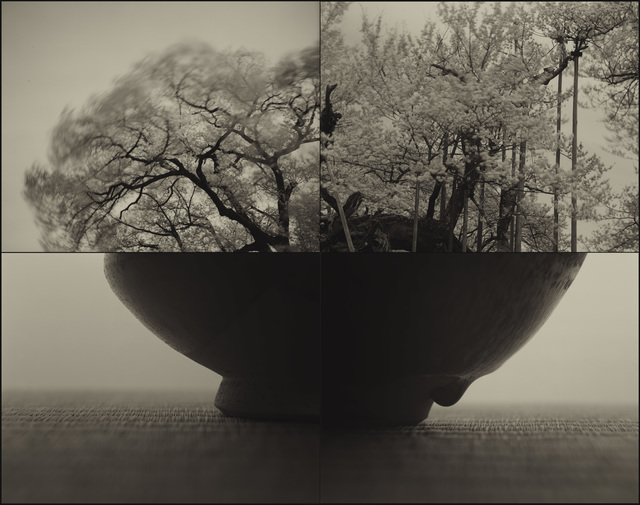 Keiichi Ito, ‘Jindai_SAKURA (C883)’, 2017, Micheko Galerie